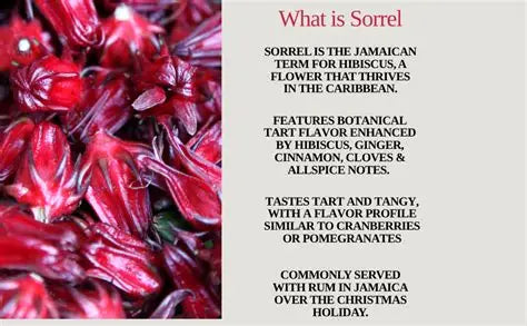 Joy's Island Spice Sorrel Hibiscus Elixir