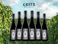 Leitz Zero Point Five Non-Alcoholic Pinot Noir